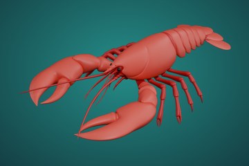 龙虾