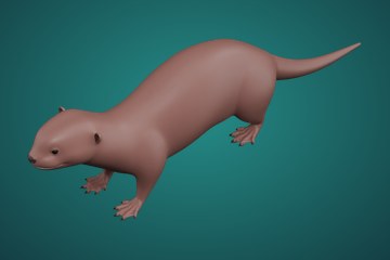 水獭