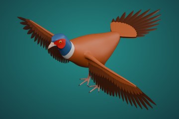 雉鸡