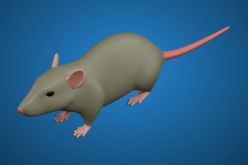 大鼠