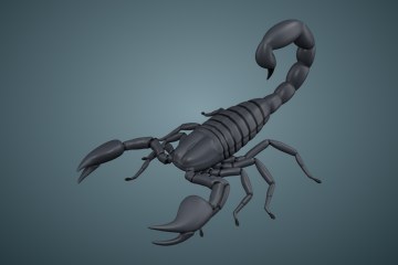 蝎子