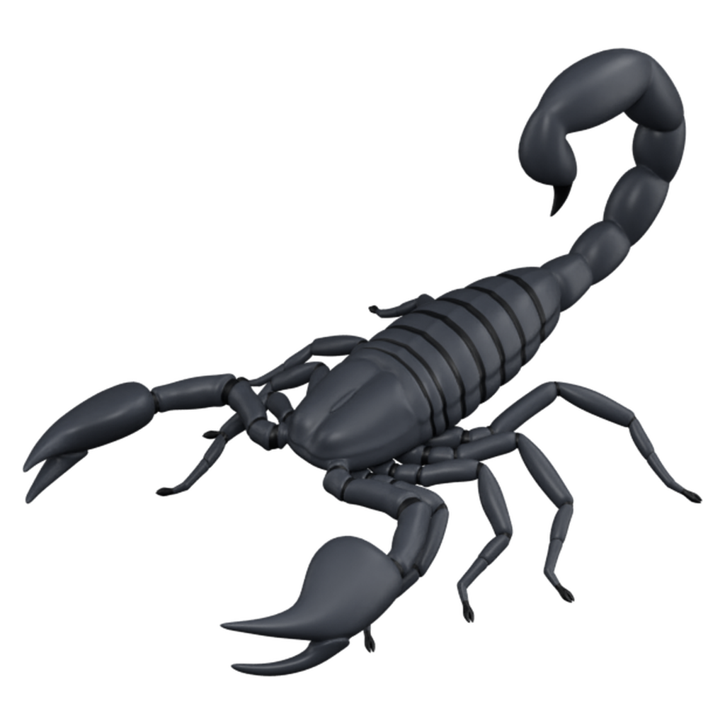 蝎子