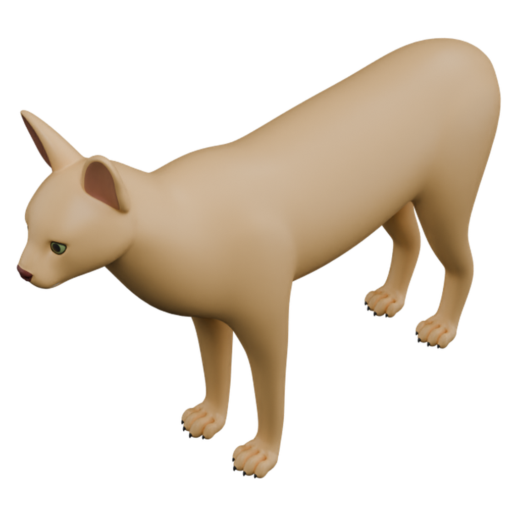 薮猫