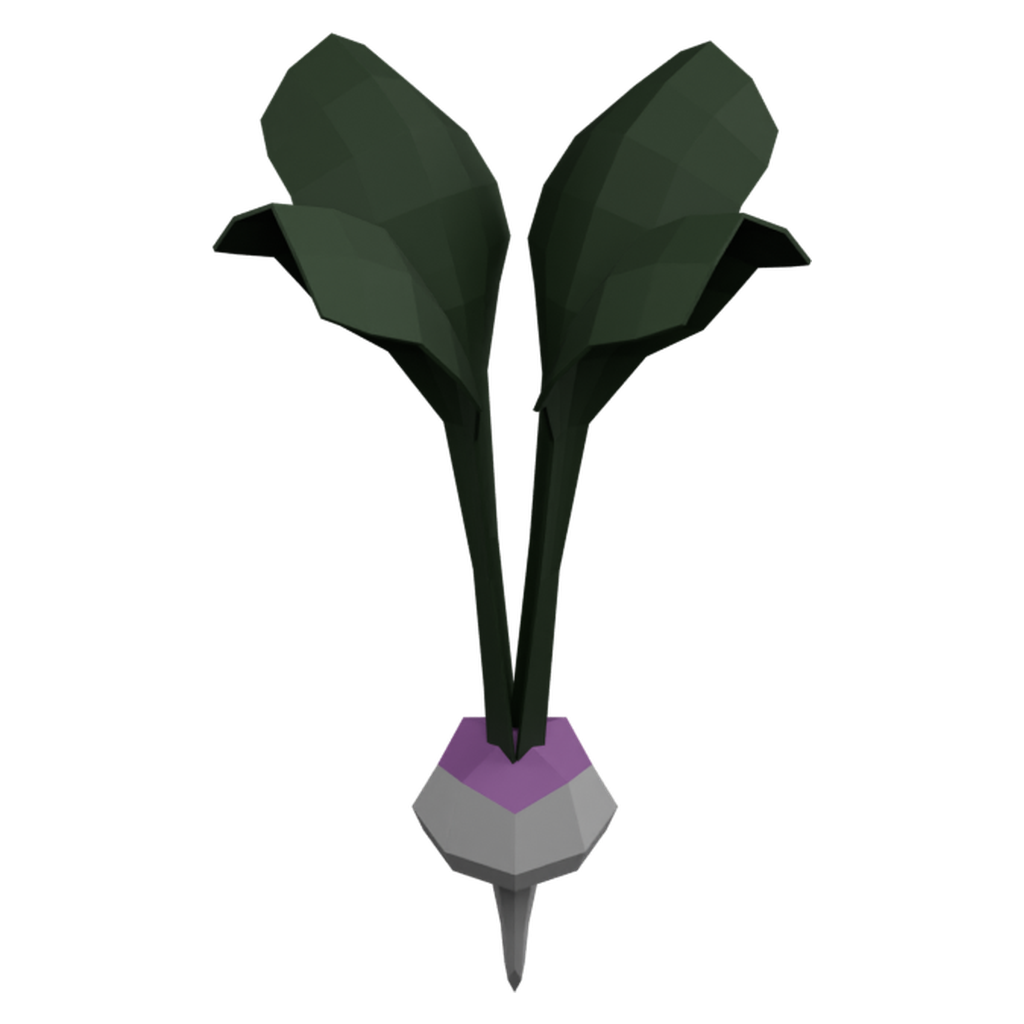 芜菁