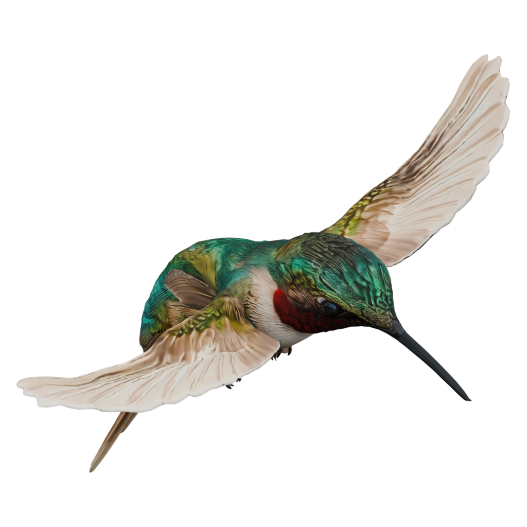 蜂鸟