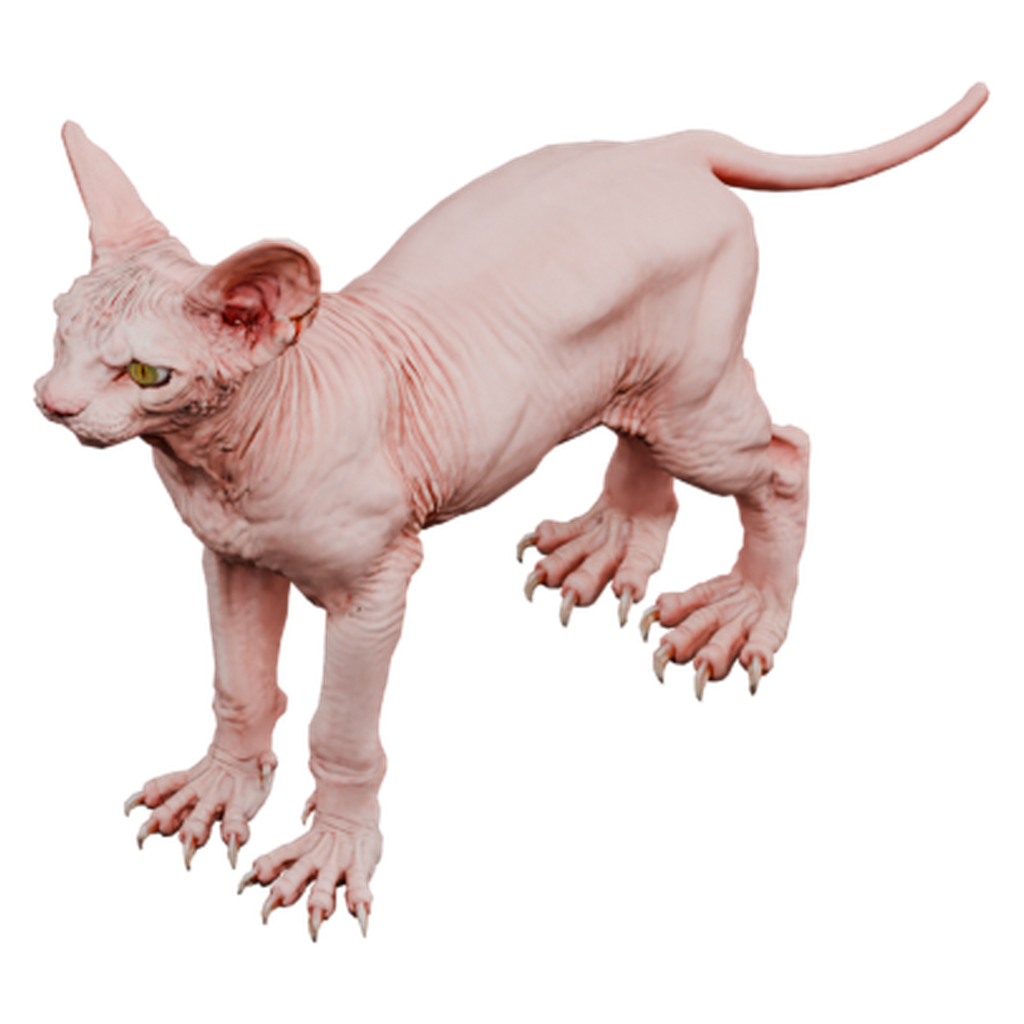 斯芬克斯猫