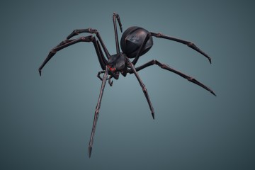 生物发光幻想蜘蛛