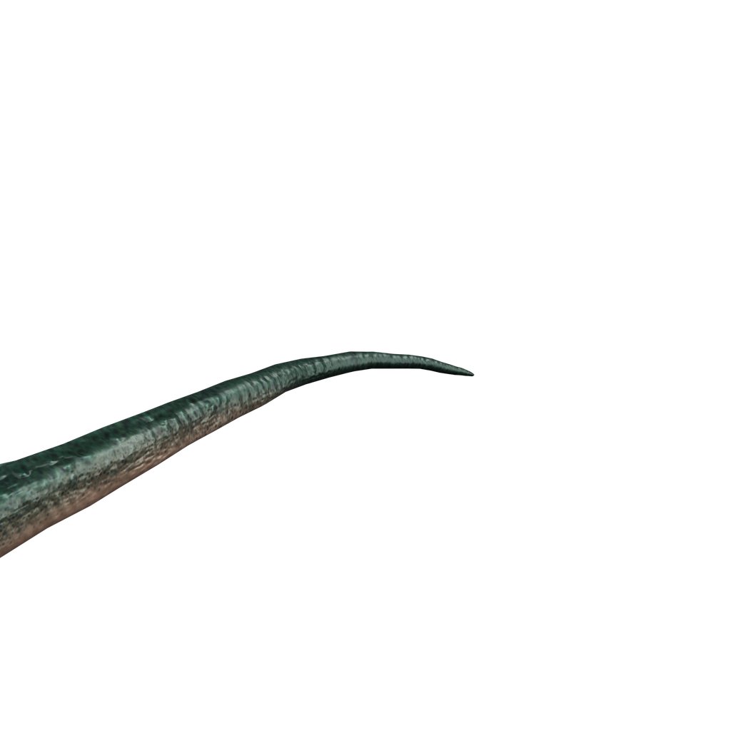剑角龙 · 局部特写