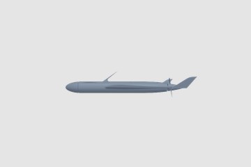sphinx-uav-inspire-of-scaneagle 3D打印模型