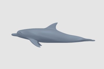 海豚 3D打印模型