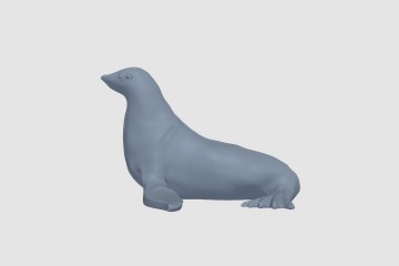 海豹 3D打印模型