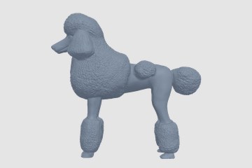 贵宾犬 3D打印模型