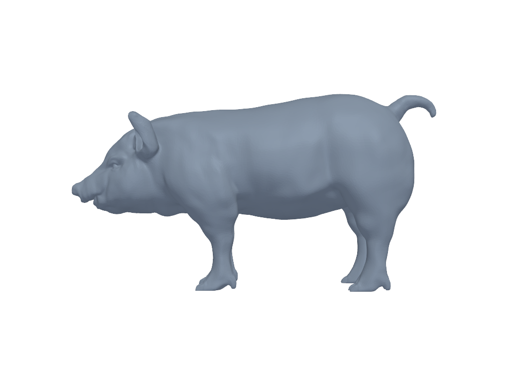 金猪 3D打印模型