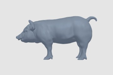 金猪 3D打印模型