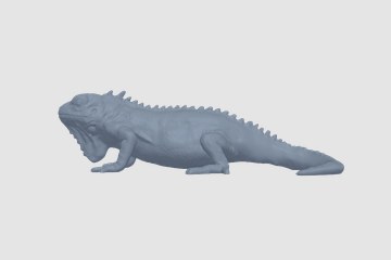 鬣蜥 3D打印模型