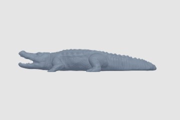 鳄鱼 3D打印模型