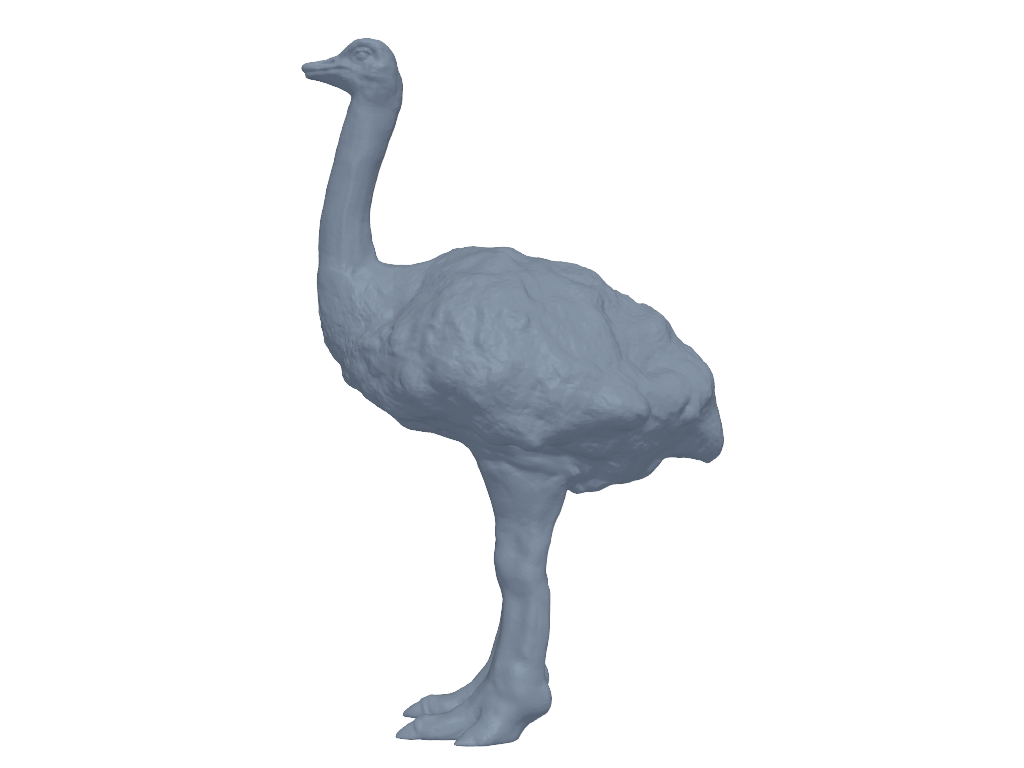 鸵鸟 3D打印模型