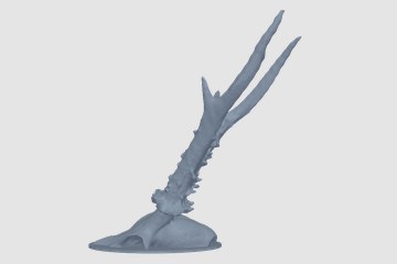 鹿头骨 3D打印模型