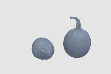 CF_Set18_Pumpkin_4K 3D打印模型