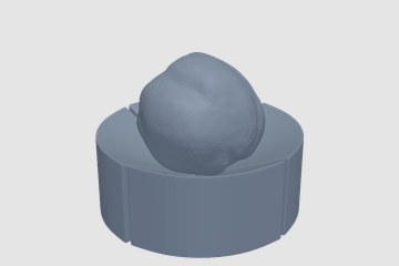 CF_Set37_Quince02_4K 3D打印模型