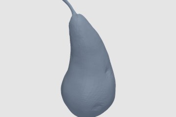 CF_Vol1_033Pear_01_4K 3D打印模型