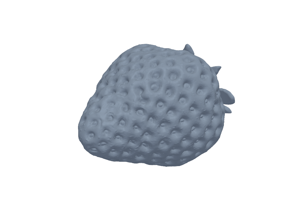 草莓 3D打印模型