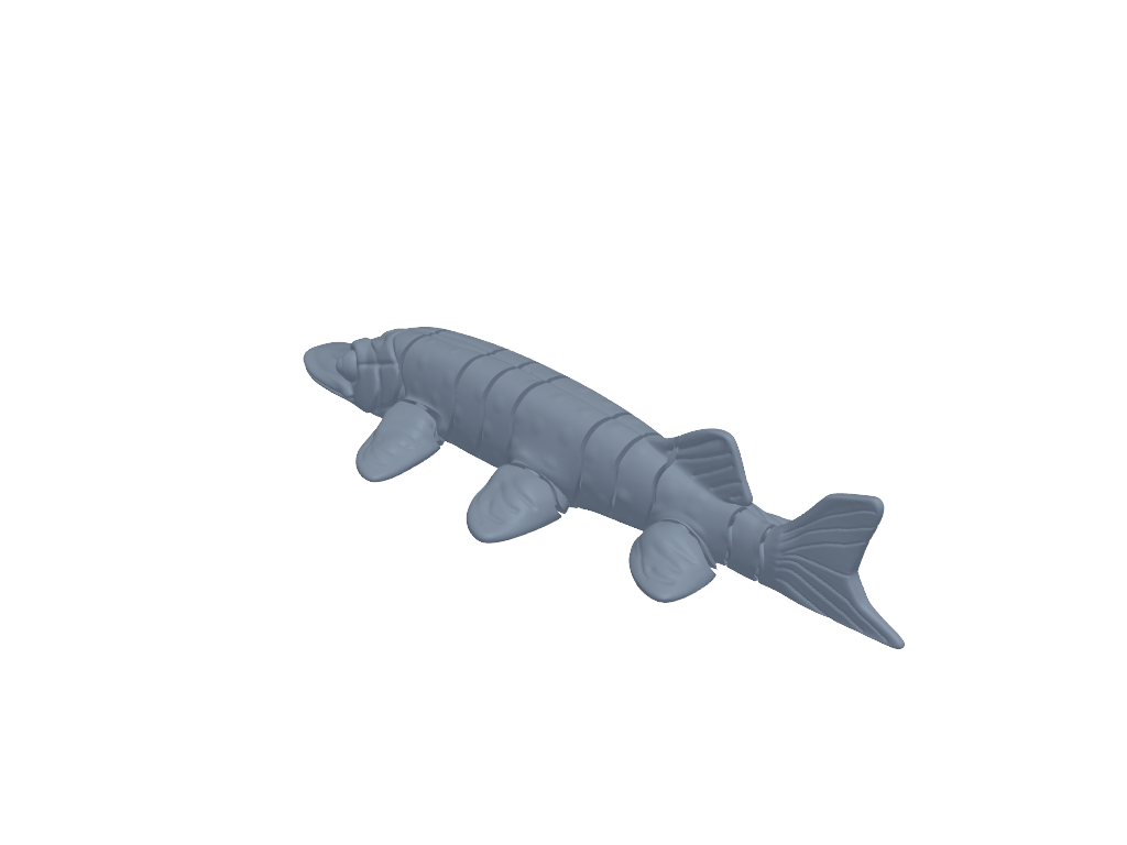 关节北梭鱼 3D打印模型