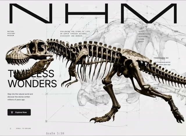 Neo Museum