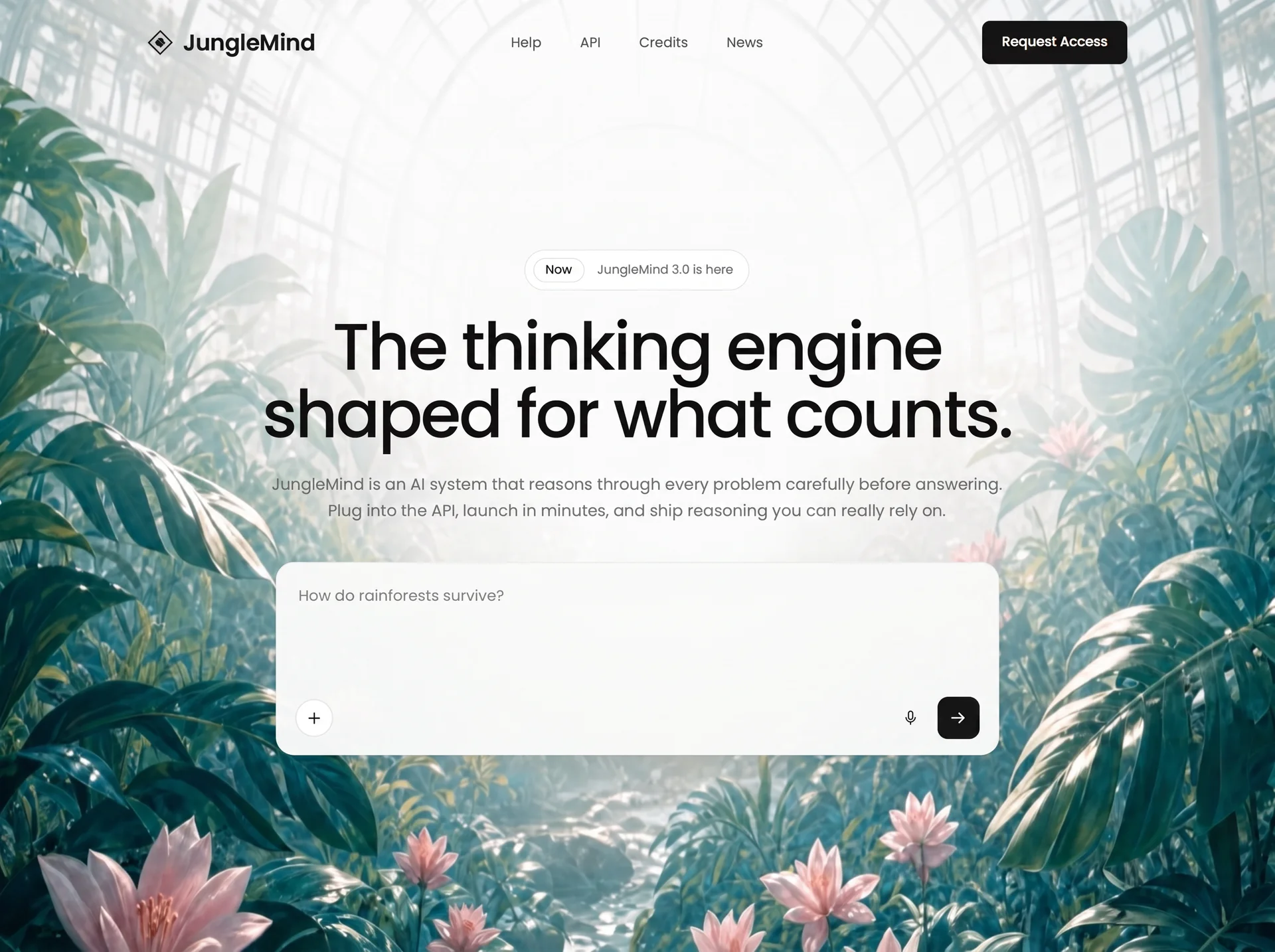 JungleMind