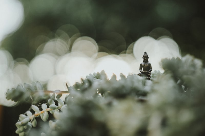 relax music free
