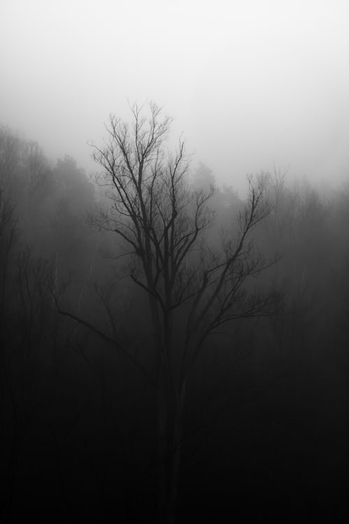 渴望钢琴01