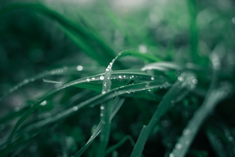 独立迪斯科流行摇滚