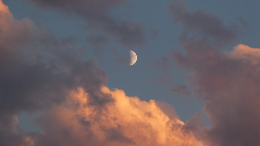 电星